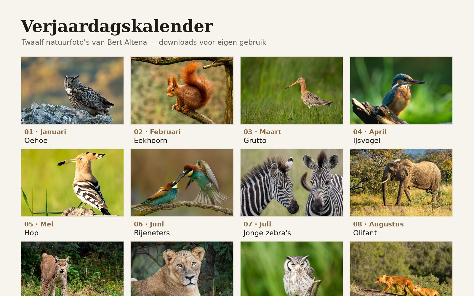 Voorbeeld van de verjaardagskalender