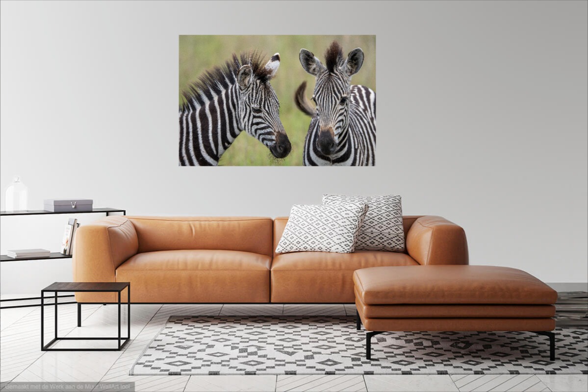 Wanddecoratie